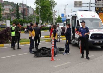 Kamyonun Çarptığı Kadın Yaşamını Yitirdi