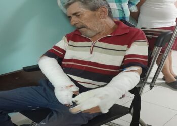 Köpek Saldırısına Uğrayan 1 Kişi Tedavi Ediliyor