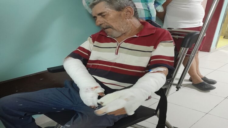 Köpek Saldırısına Uğrayan 1 Kişi Tedavi Ediliyor