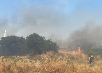 Balıkesir’de Tarım Arazisinde Yangın