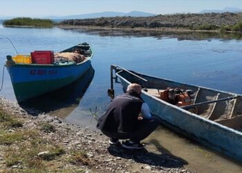 Beyşehir Ormanlarında Usulsüzlüklere Karşı Denetim