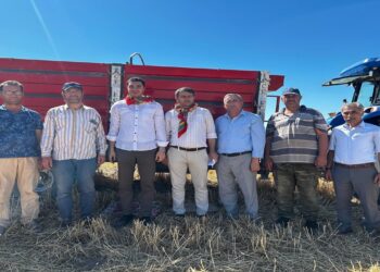 İbrahim Ergin Hububat Hasadına Katıldı