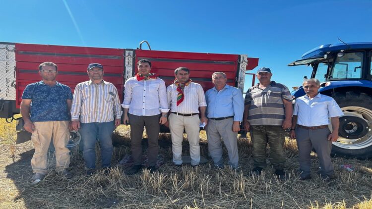 İbrahim Ergin Hububat Hasadına Katıldı