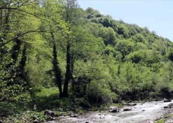 Kocaeli’de Ormanlık Alanlara Girişler Yasaklandı