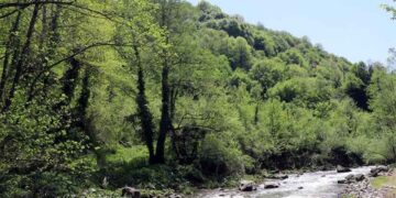 Kocaeli’de Ormanlık Alanlara Girişler Yasaklandı