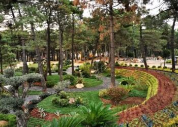 Millet Bahçelerine İlgi Büyük