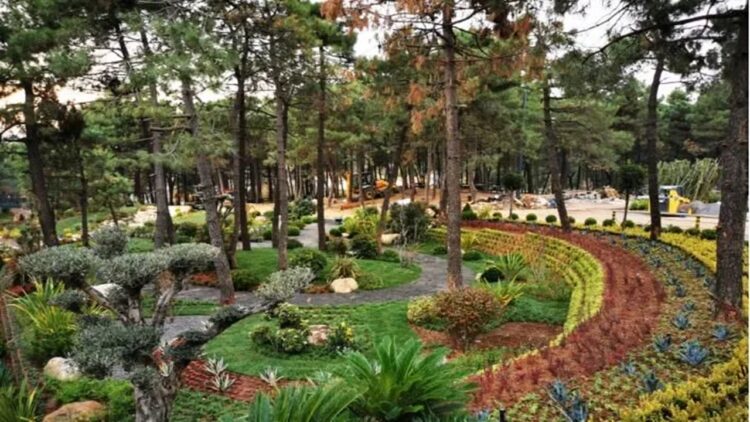 Millet Bahçelerine İlgi Büyük