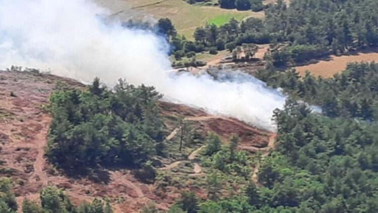 Çanakkale Ezine’de Orman Yangını