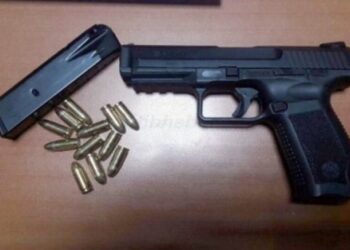 Adana’da Operasyon Düzenlenen Evde Çok Sayıda Ruhsatsız Silah Ele Geçirildi