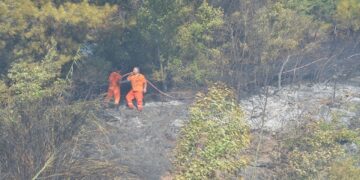 Antalya’nın Serik İlçesinde Çıkan Yangın Söndürüldü