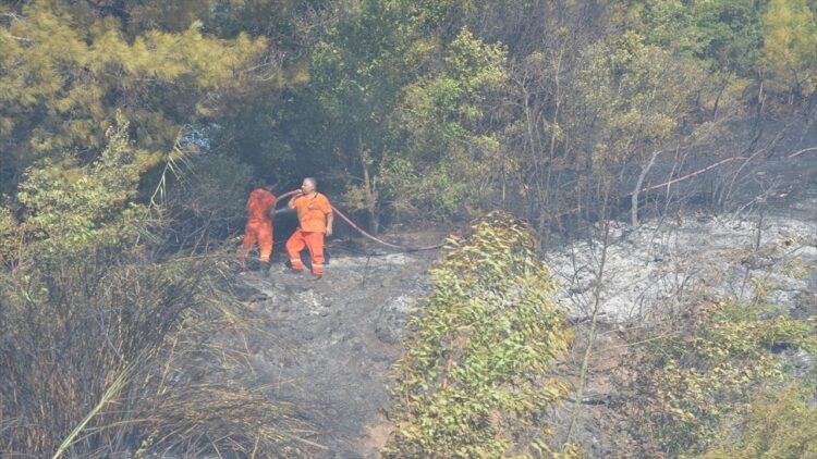 Antalya’nın Serik İlçesinde Çıkan Yangın Söndürüldü