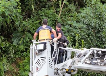 Yaşlı Adamın Cesedi Ormanlık Alanda Bulundu
