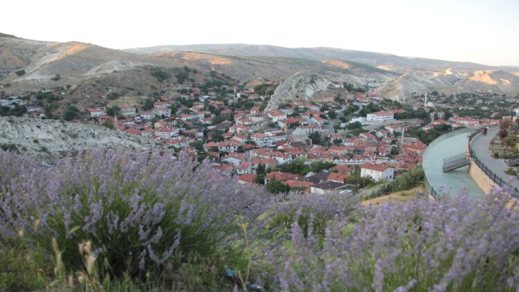 Beypazarı’nda Lavanta Bahçesi İlgi Odağı Oldu