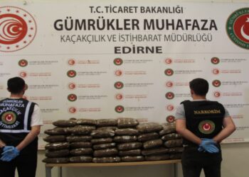 Kapıkule Gümrük Kapısı’nda 244 Kilogram Uyuşturucu Ele Geçirildi