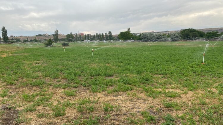 Melikgazi Belediyesinden Su Tasarrufu
