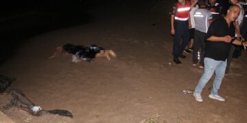 Kocaeli’de Denizde Erkek Cesedi Bulundu