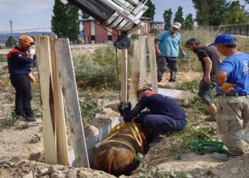 Sivas’ta Bir İnek Menfeze Düştü