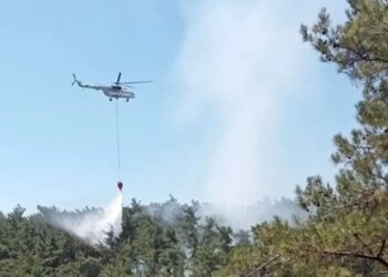 Muğla Menteşe’de Ormanlık Alanda Çıkan Yangın Söndürüldü