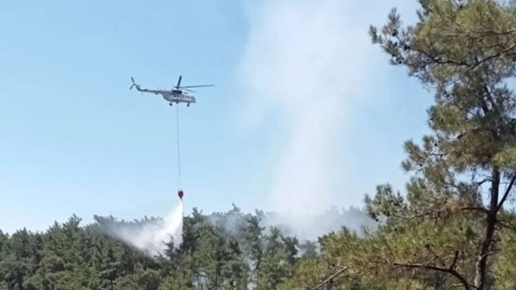 Muğla Menteşe’de Ormanlık Alanda Çıkan Yangın Söndürüldü