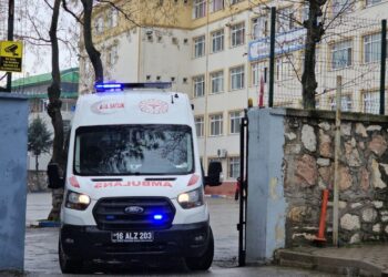 Bursa zehirlenme