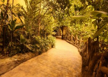 İstanbul Akvaryum’dan çocuklar için yarıyıl tatili etkinlikleri