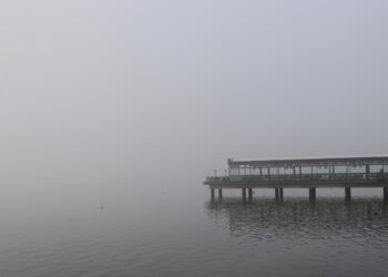Kocaeli, Bartın ve Düzce’de sis etkili oldu haberi