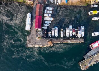 Marmara Denizi’nde müsilaj yeniden görüldü haberi