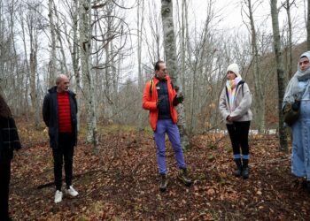 Sağlıklı yaşamak isteyenlerin yeni rotası “orman banyosu” haberi