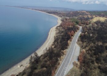 Tarihi Gelibolu Yarımadası’nda orman yangınları için “güvenlik kuşakları” oluşturulacak haberi