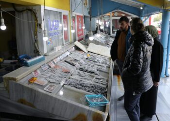 Tekirdağlı balıkçıların ağına en çok istavrit takılıyor haberi