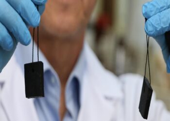 Akademisyenler kahverengi kokarcayla mücadelede kullanılacak yerli feromon üretti haberi