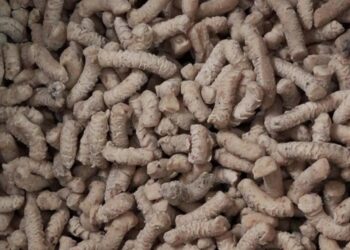 Bilecik’te bayat ekmek ve yemek artıklarından mama üretiliyor haberi