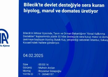 Bilecik’te devlet desteğiyle sera kuran biyolog, marul ve domates üretiyor haberi