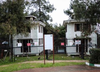 Bursa’nın engelli ve sahipsiz kedileri 18 yıldır “villa”da yaşıyor haberi