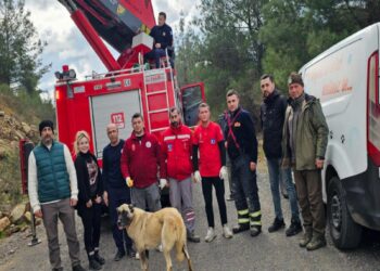 Çanakkale’de dağlık alanda mahsur kalan köpek kurtarıldı haberi