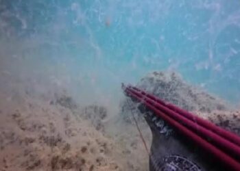 Çanakkale’de dalgıçlar müsilajın deniz dibindeki durumunu görüntüledi haberi