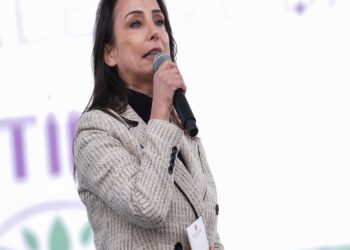 DEM Parti Eş Genel Başkanı Oruç “Özgürlük için Barış” mitinginde konuştu: haberi