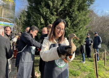 Dünya Sulak Alanlar Günü Hersek Lagünü’nde kutlandı haberi