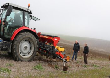Edirne’de farklı ekim metotlarıyla ayçiçeğinin kuraklığa karşı dayanıklılığı test ediliyor haberi