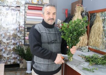 Evinin bahçesinde hobi olarak başladığı çiçekçiliği yaklaşık yarım asırdır sürdürüyor haberi