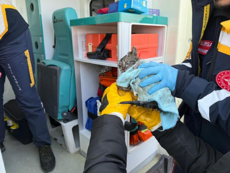 GÜNCELLEME – Bursa’da geri dönüşüm tesisinde başlayıp tekstil fabrikasına sıçrayan yangın kontrol altına alındı haberi