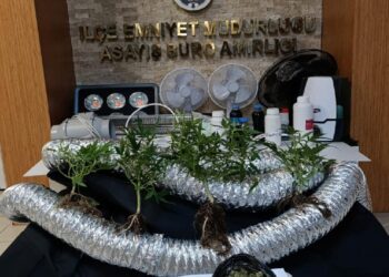 Kağıthane’de uyuşturucu operasyonunda gözaltına alınan zanlı tutuklandı haberi