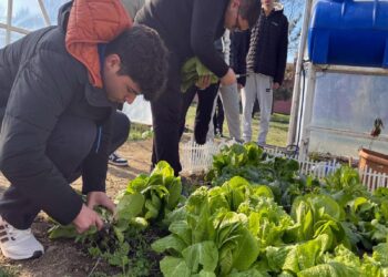 Tekirdağ’da lise öğrencileri okul bahçesinde çiftçiliği öğreniyor haberi
