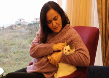 Tekirdağlı hayvansever, görme engelli kedisine anne şefkatiyle bakıyor haberi