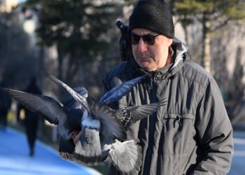 Trakya’da soğuk hava etkili oluyor haberi