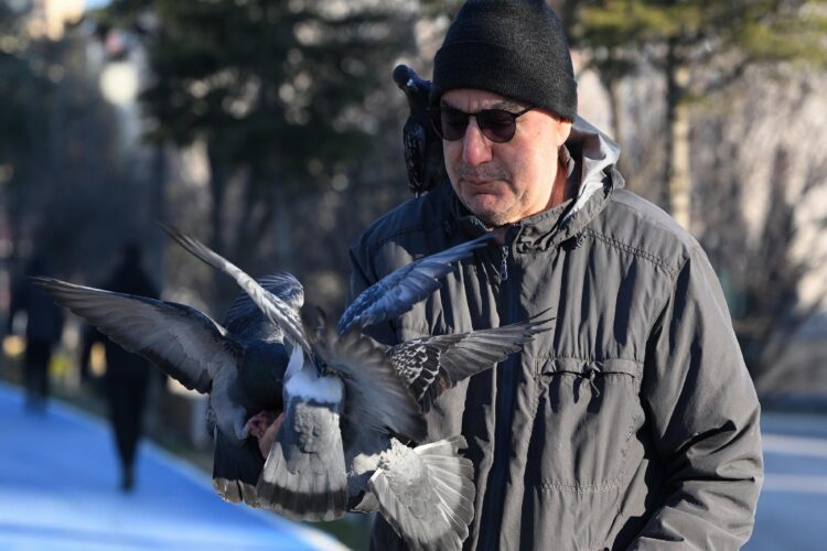 Trakya’da soğuk hava etkili oluyor haberi