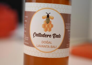 Üretimi artırılan Çallıdere balının ihraç edilmesi hedefleniyor haberi