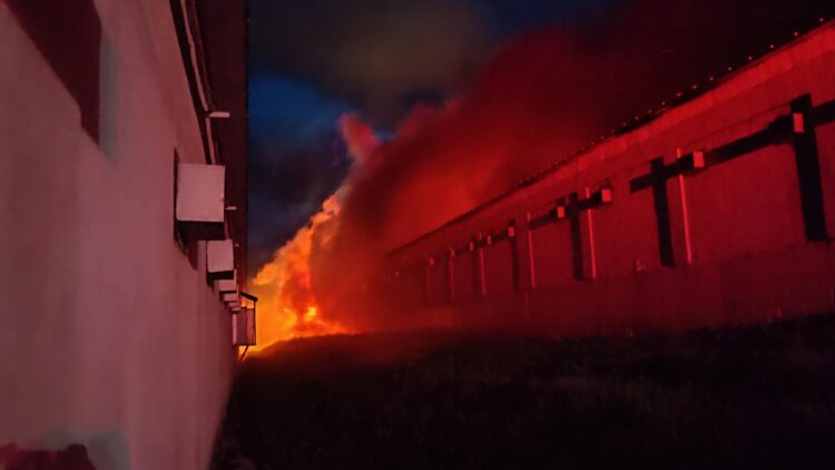 Bilecik’te tavuk çiftliği yangında hasar gördü haberi