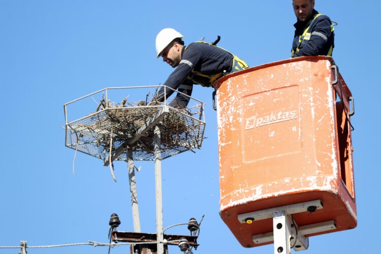 Bu kez yuvayı TREDAŞ ekipleri yaptı haberi