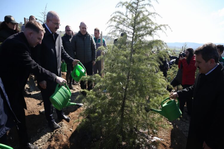 Bursa ve çevre illerde 27 bini aşkın fidan toprakla buluşturuldu haberi